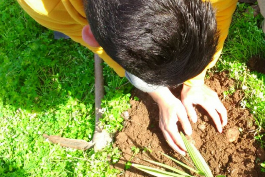 Actividad de reforestación. Menores de 'Ciudad de Melilla'.Fundación Diagrama.