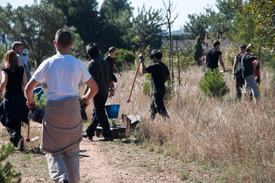 El Ayuntamiento de Castellón de la Plana y jóvenes de Fundación Diagrama reforestan el Desert de Les Palmes