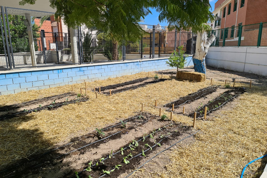 La residencia ‘Lucentum’ de Alicante impulsa la creación de un huerto ecológico entre los jóvenes atendidos. Fundación Diagrama. Comunidad Valenciana 2020. 