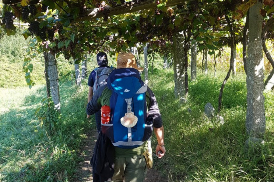 Camino de Santiago. Menores de 'La Jara' de  Alcalá de Guadaíra (Sevilla). Fundación Diagrama 2017.