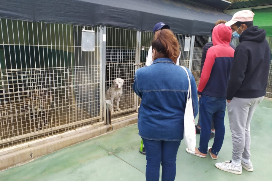 La Sociedad Protectora de Animales de Mataró abre sus puertas a los jóvenes atendidos en el SPAAI ‘Llavaneres’ de Barcelona