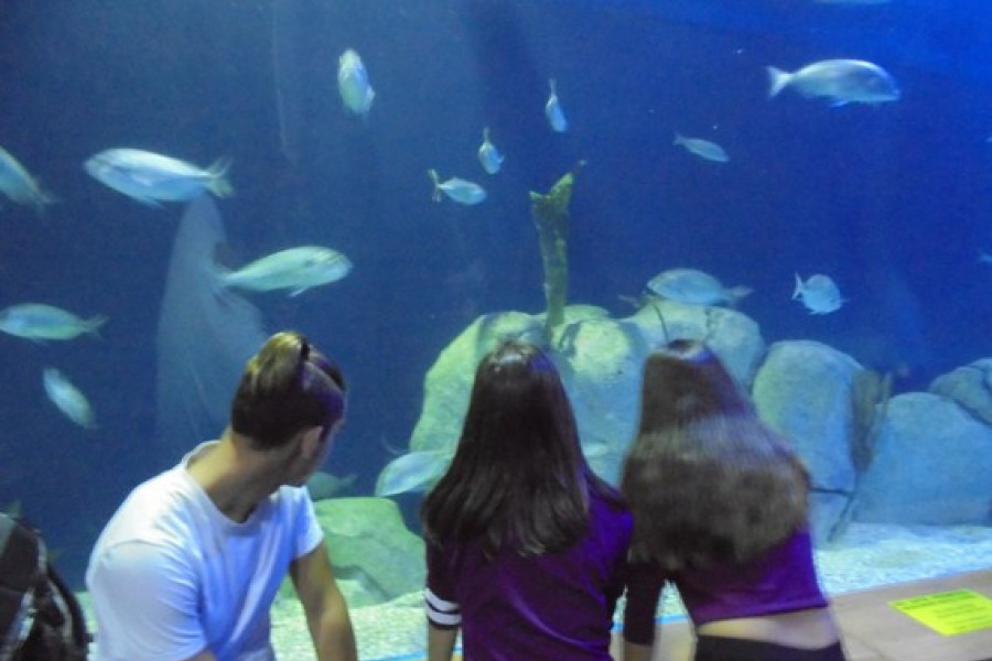 Los jóvenes atendidos en el centro ‘La Pobla’ de La Pobla de Vallbona visitan el Oceanográfico de Valencia. Fundación Diagrama 2017