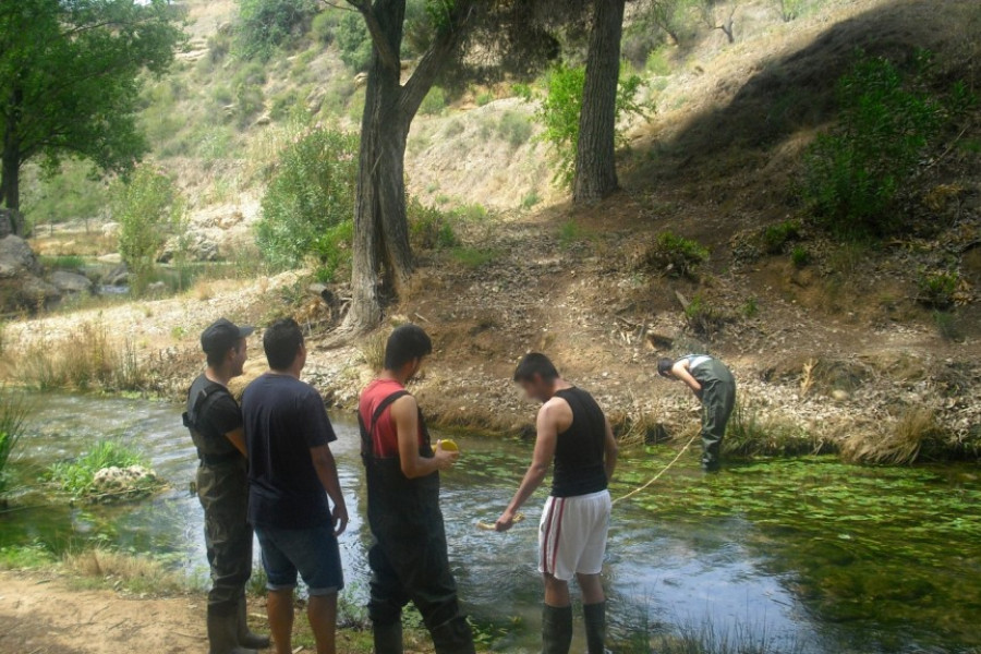 Voluntariado medioambiental centro Pi i Margall río Tuéjar