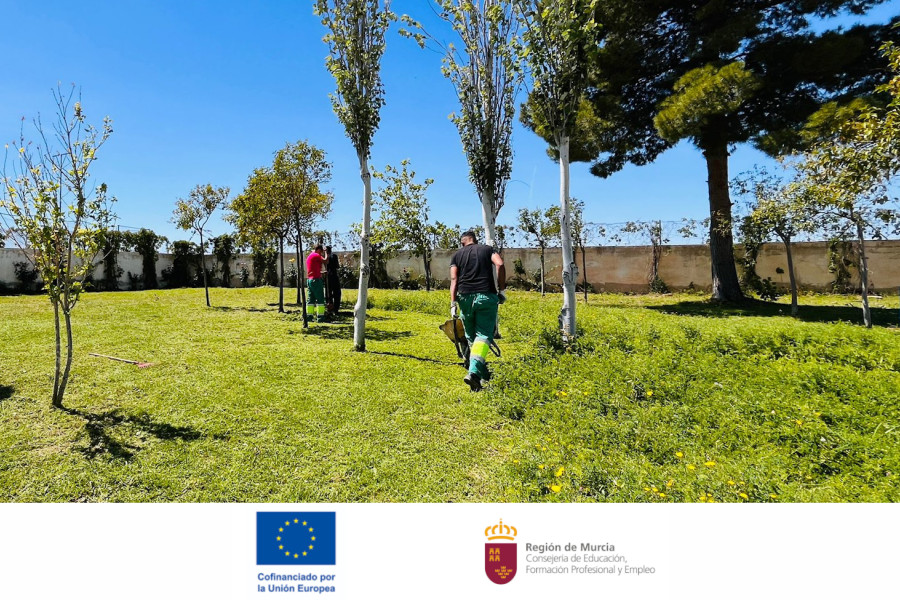 PFP de jardinería en La Zarza