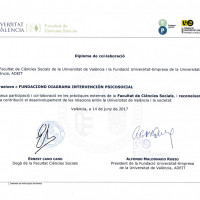 Diploma de la Universidad de Valencia (2017)